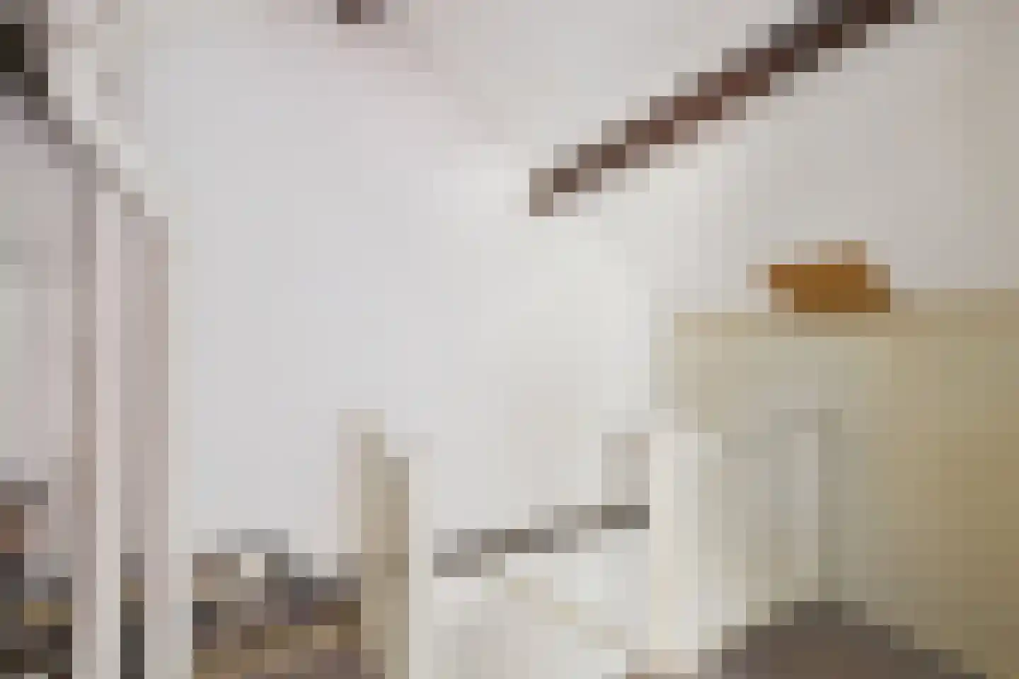 Drostlaan 8 a Sluiskil thumbnail 25