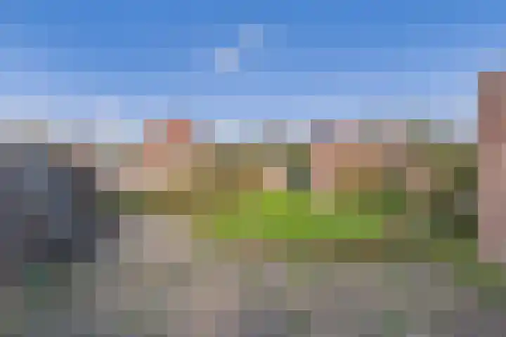 Drostlaan 8 a Sluiskil thumbnail 30
