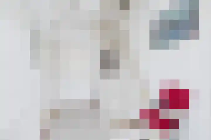 Drostlaan 8 a Sluiskil thumbnail 8
