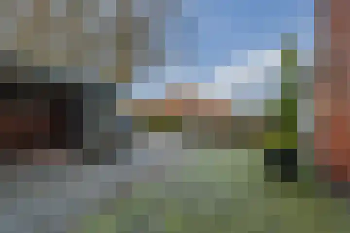 Drostweg 41 Eelde thumbnail 43