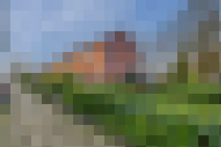Drostweg 41 Eelde thumbnail 45