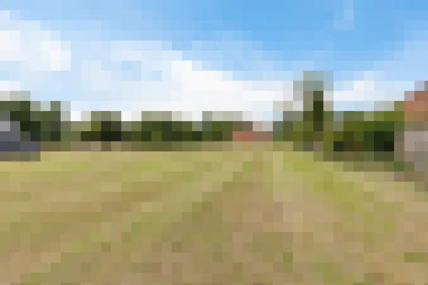 Drouwenerstraat 16 Borger thumbnail 14