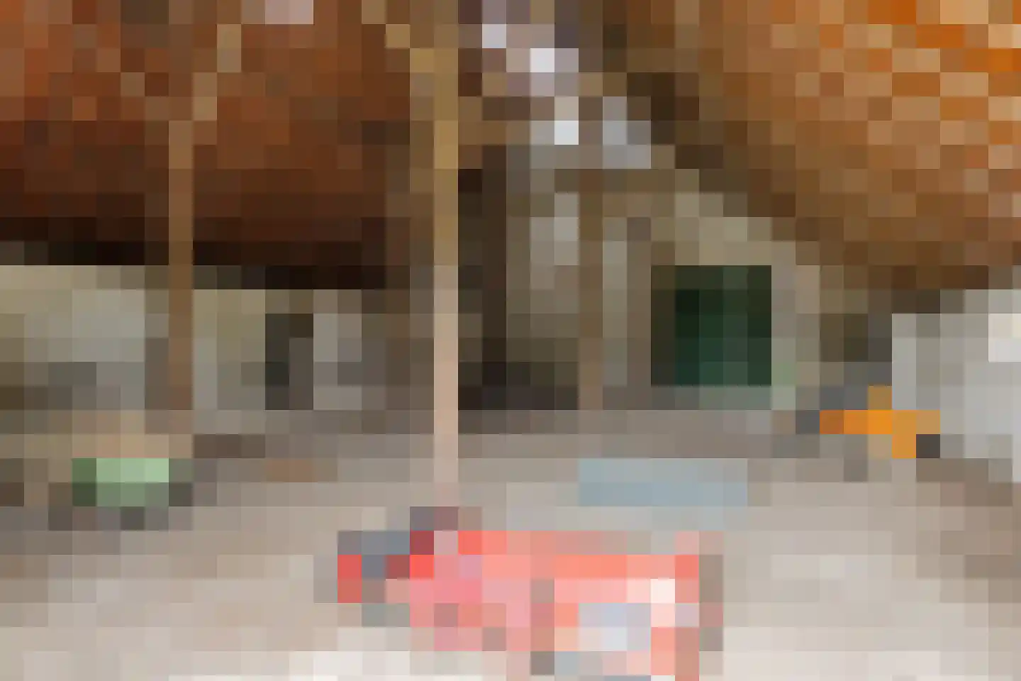 Drouwenerstraat 16 Borger thumbnail 15