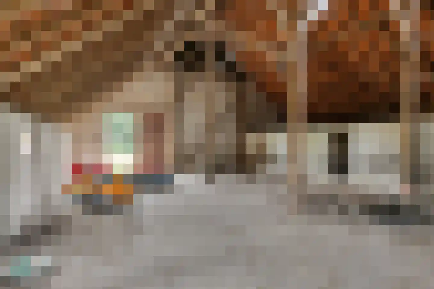 Drouwenerstraat 16 Borger thumbnail 16