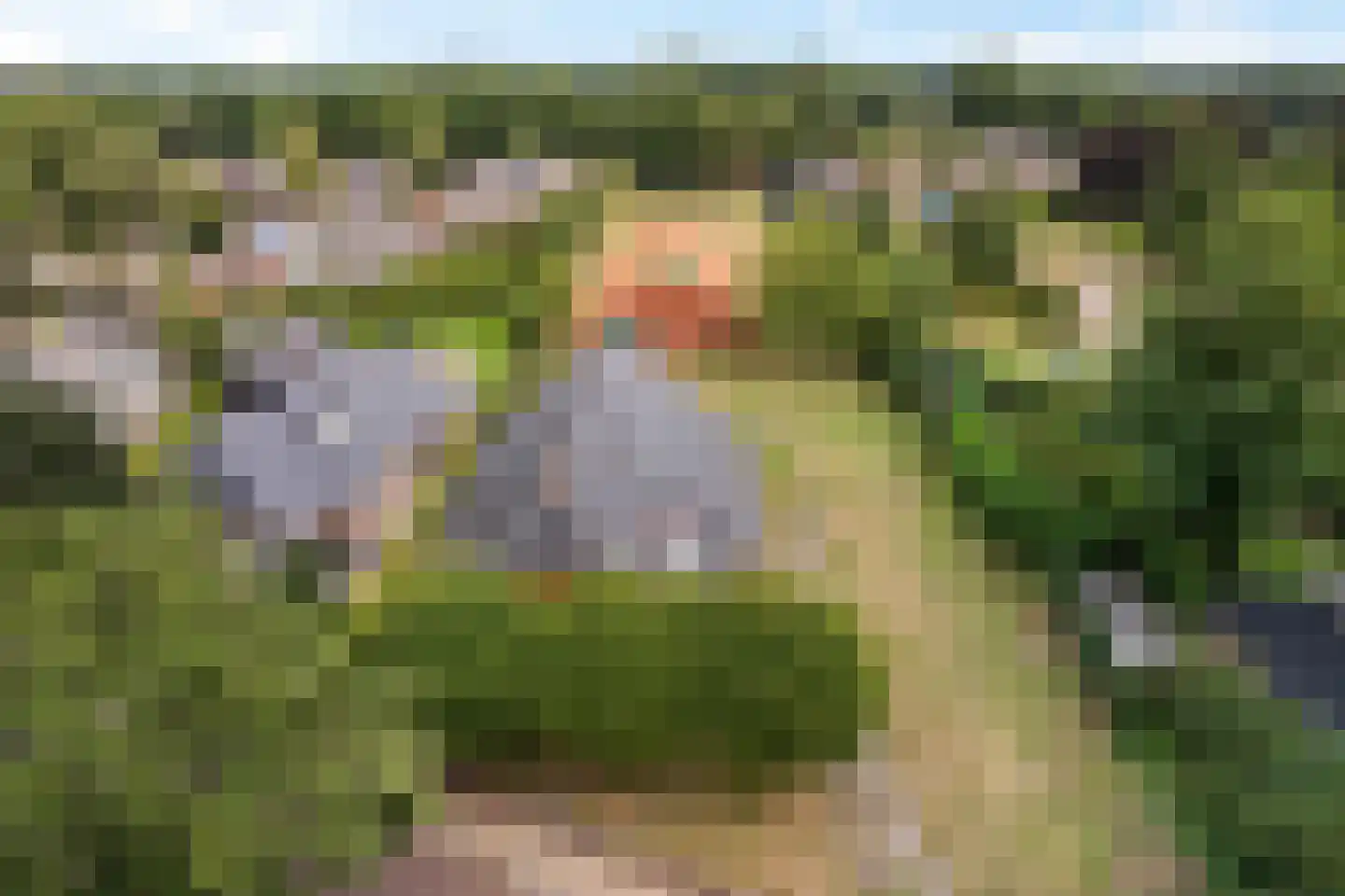 Drouwenerstraat 16 Borger thumbnail 18