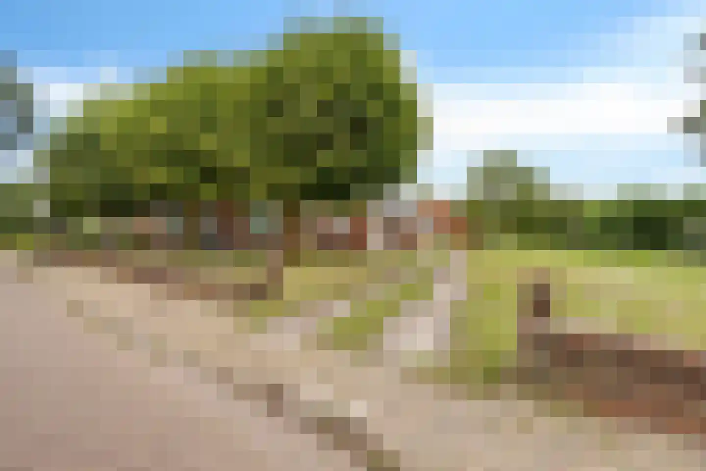Drouwenerstraat 16 Borger thumbnail 4