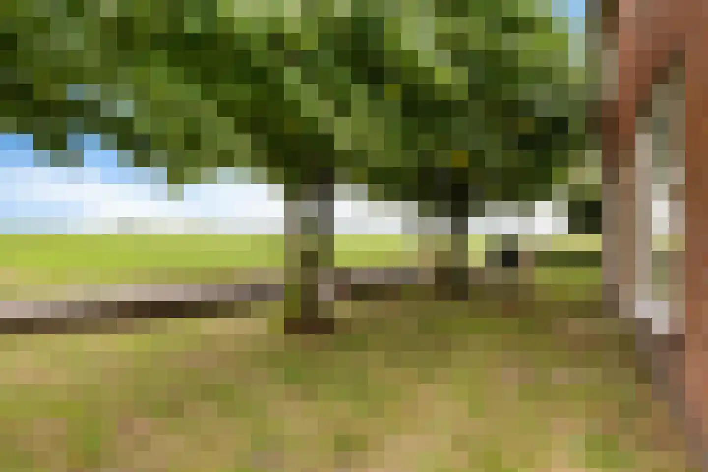 Drouwenerstraat 16 Borger thumbnail 7