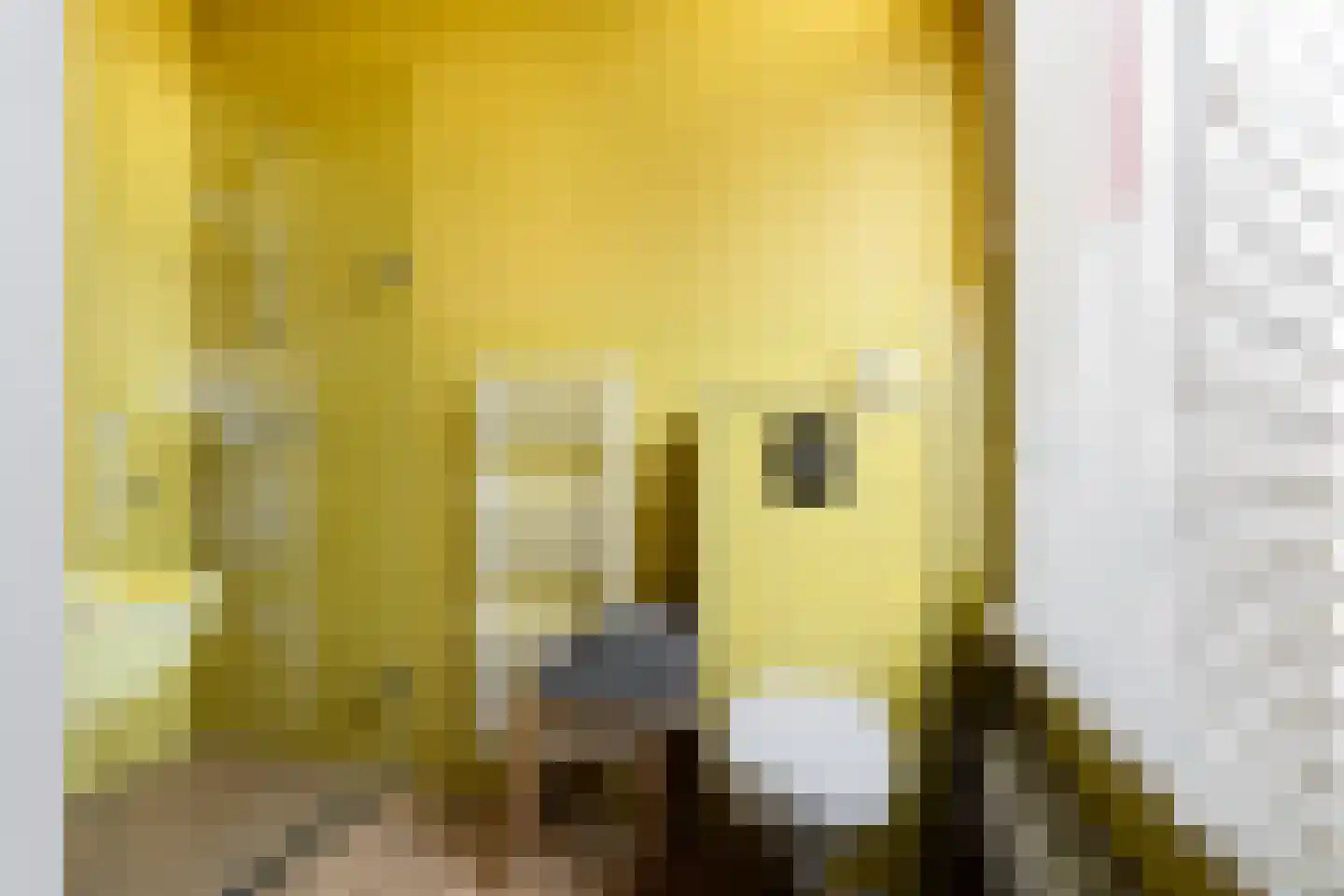 Drouwenerstraat 4 Stadskanaal thumbnail 34