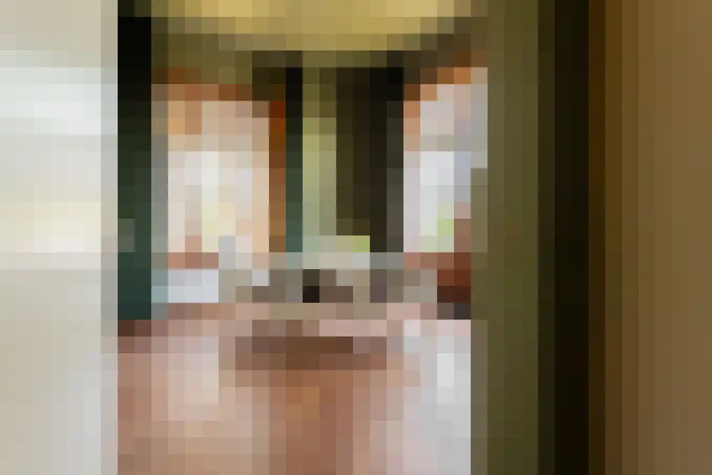 Drouwenerstraat 4 Stadskanaal thumbnail 39