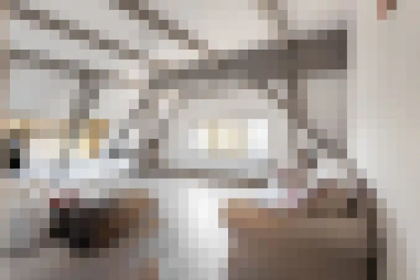 Drouwenerstraat 4 Stadskanaal thumbnail 43