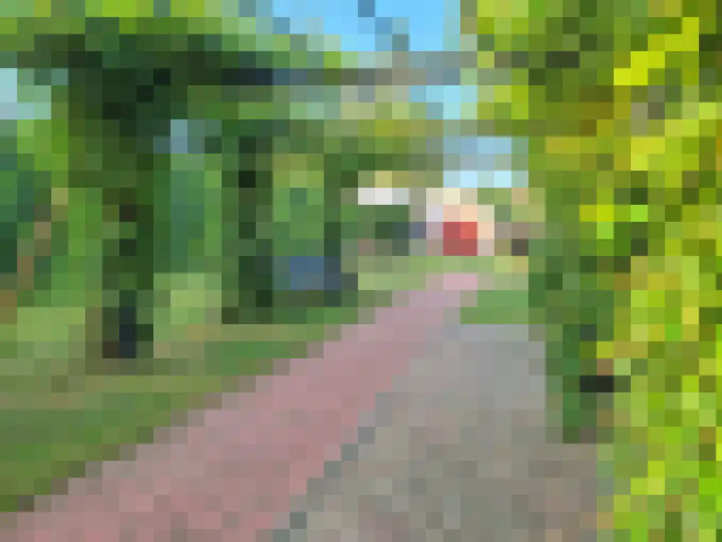 Drouwenerstraat 4 Stadskanaal thumbnail 48