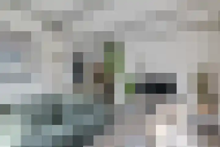 Drouwenerstraat 5 Borger thumbnail 10