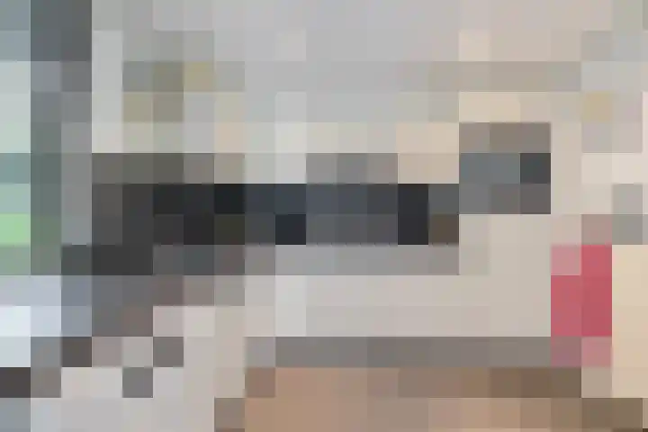 Drouwenerstraat 5 Borger thumbnail 14