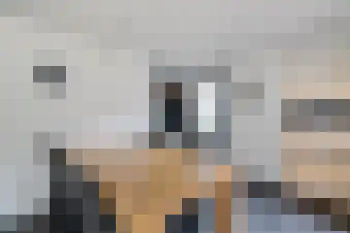 Drouwenerstraat 5 Borger thumbnail 15