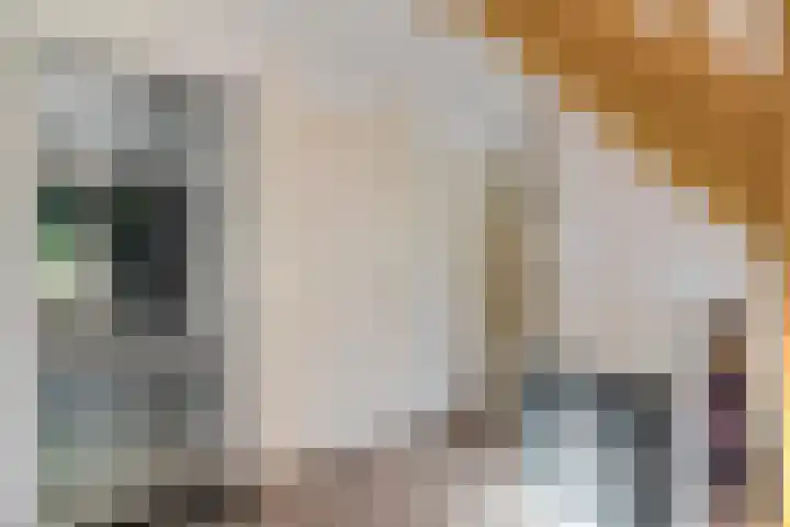 Drouwenerstraat 5 Borger thumbnail 18