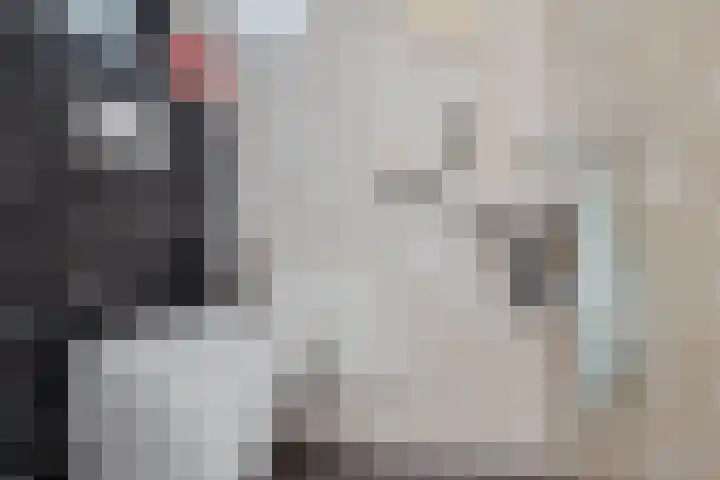 Drouwenerstraat 5 Borger thumbnail 19