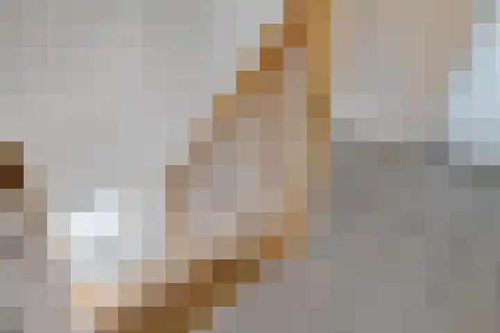 Drouwenerstraat 5 Borger thumbnail 23