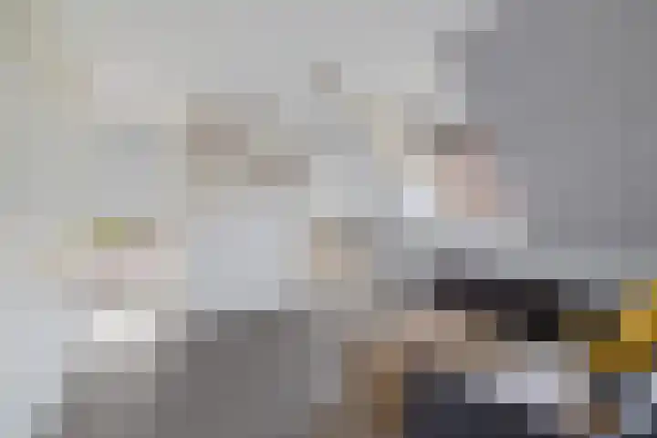 Drouwenerstraat 5 Borger thumbnail 24
