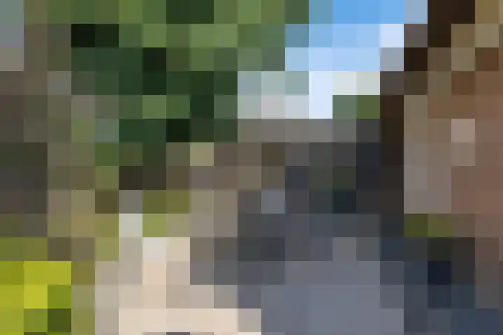 Drouwenerstraat 5 Borger thumbnail 29