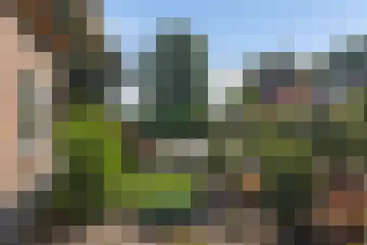 Drouwenerstraat 5 Borger thumbnail 30