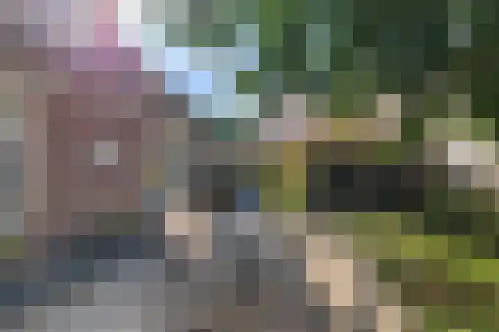 Drouwenerstraat 5 Borger thumbnail 31