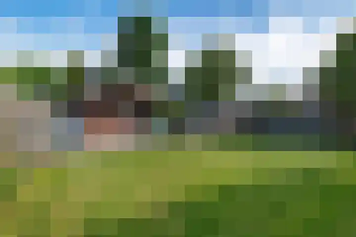 Drouwenerstraat 5 Borger thumbnail 32