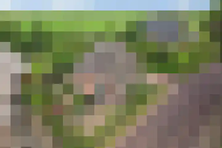 Drouwenerstraat 5 Borger thumbnail 36