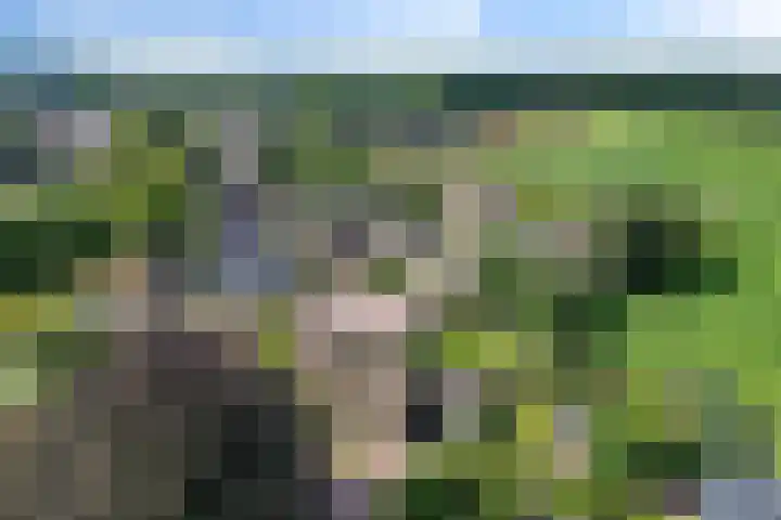 Drouwenerstraat 5 Borger thumbnail 38