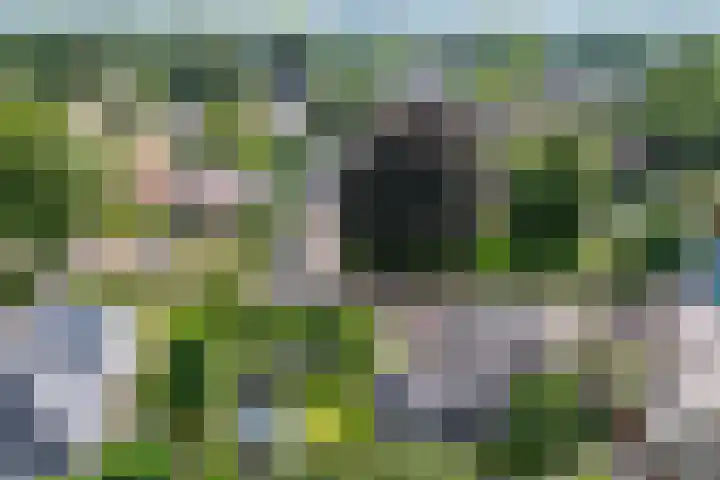 Drouwenerstraat 5 Borger thumbnail 39