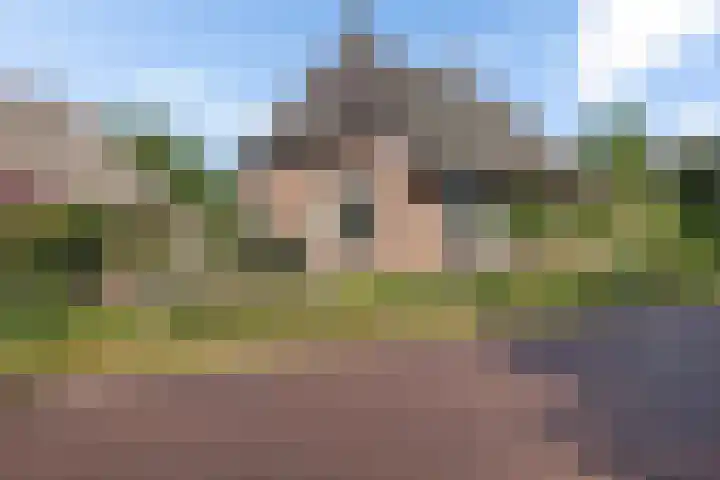 Drouwenerstraat 5 Borger thumbnail 4