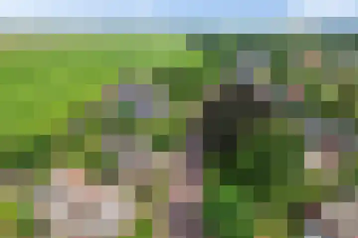 Drouwenerstraat 5 Borger thumbnail 40