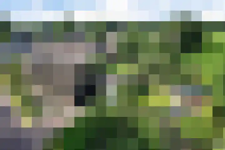 Drouwenerstraat 5 Borger thumbnail 43