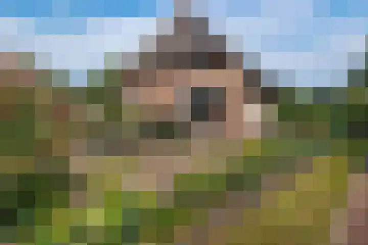 Drouwenerstraat 5 Borger thumbnail 5