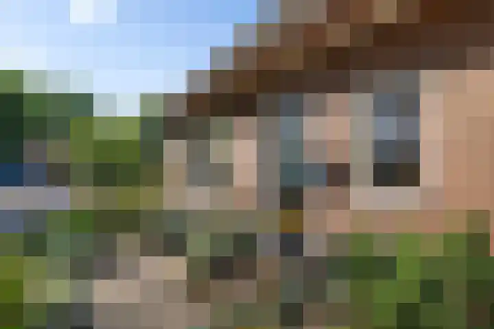 Drouwenerstraat 5 Borger thumbnail 6