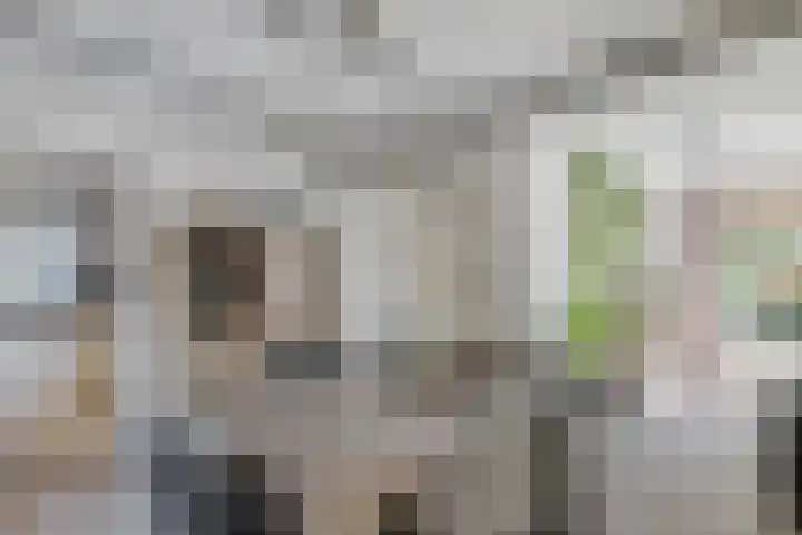 Drouwenerstraat 5 Borger thumbnail 7