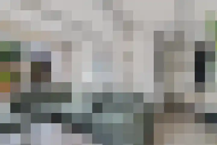 Drouwenerstraat 5 Borger thumbnail 9