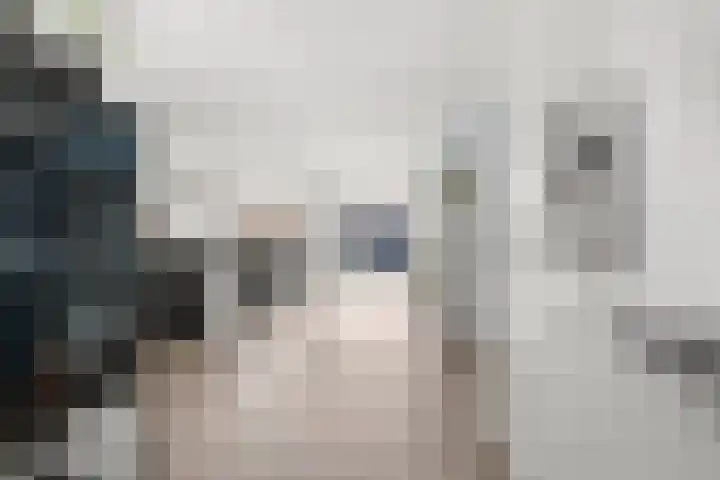 Drouwenerzand 18 Ede thumbnail 17