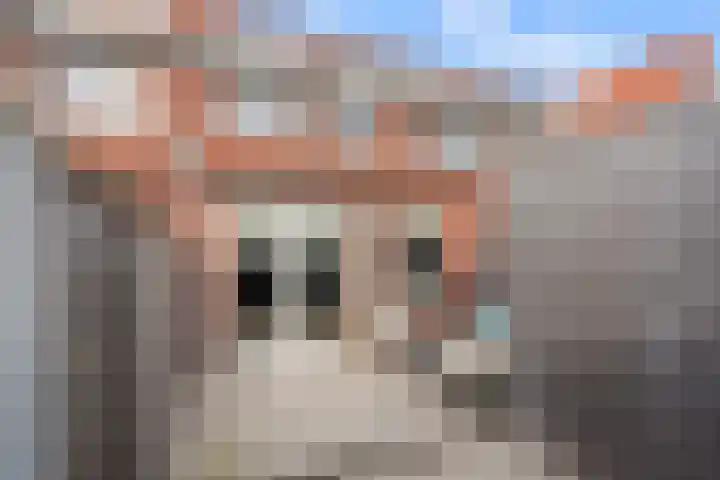 Drouwenerzand 18 Ede thumbnail 19