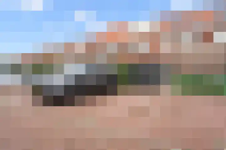 Drouwenerzand 18 Ede thumbnail 20