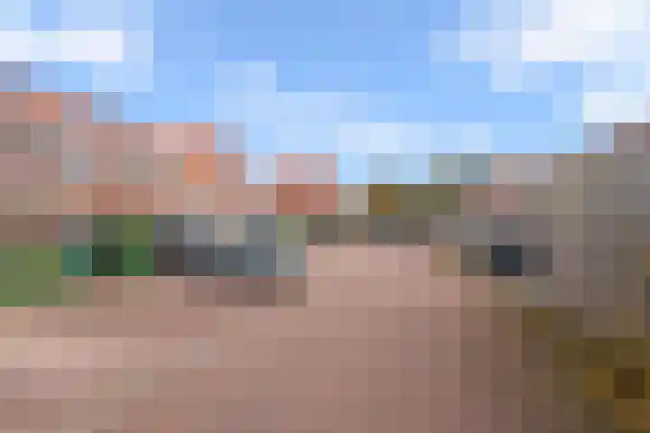 Drouwenerzand 18 Ede thumbnail 21