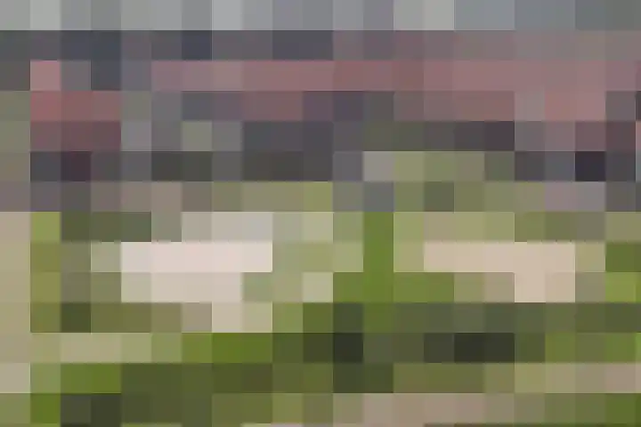 Drouwenerzand 18 Ede thumbnail 6
