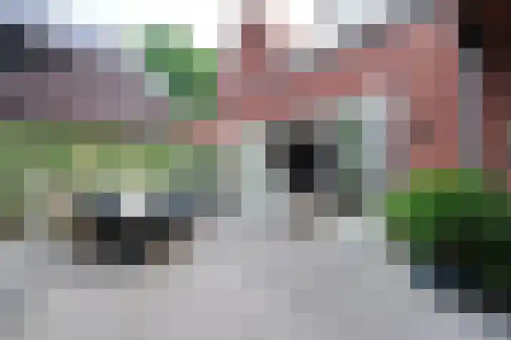 Drouwenerzand 27 Ede thumbnail 32