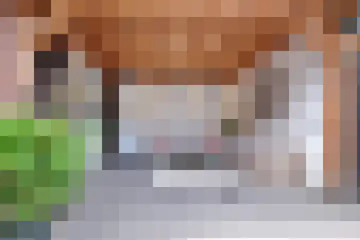 Drouwenerzand 27 Ede thumbnail 34