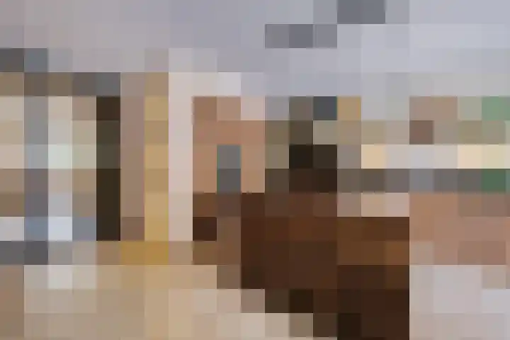 Drouwenerzand 27 Ede thumbnail 7
