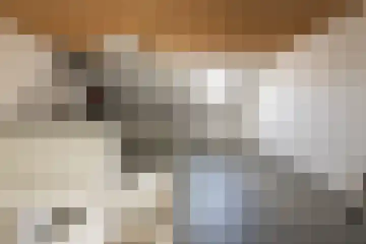 Drouwenerzand 40 Ede thumbnail 25