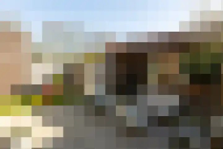 Drouwenerzand 40 Ede thumbnail 29