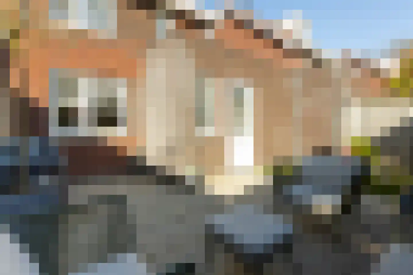 Drouwenerzand 40 Ede thumbnail 33