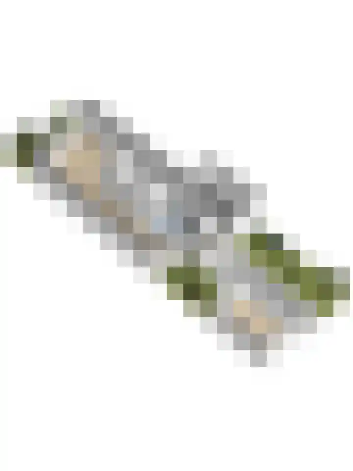 Drouwenerzand 40 Ede thumbnail 38
