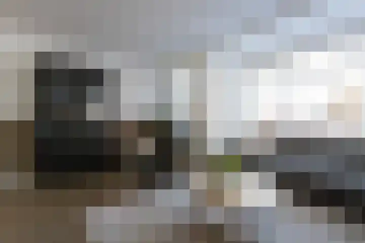 Drouwenerzand 40 Ede thumbnail 7