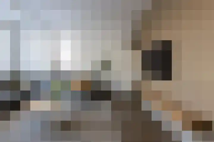 Drouwenerzand 40 Ede thumbnail 8